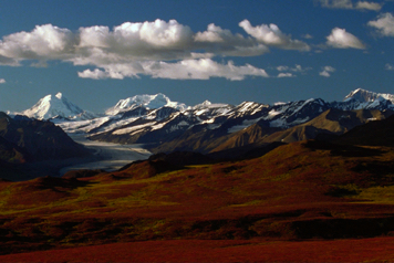 Denali Hwy Fall.jpg